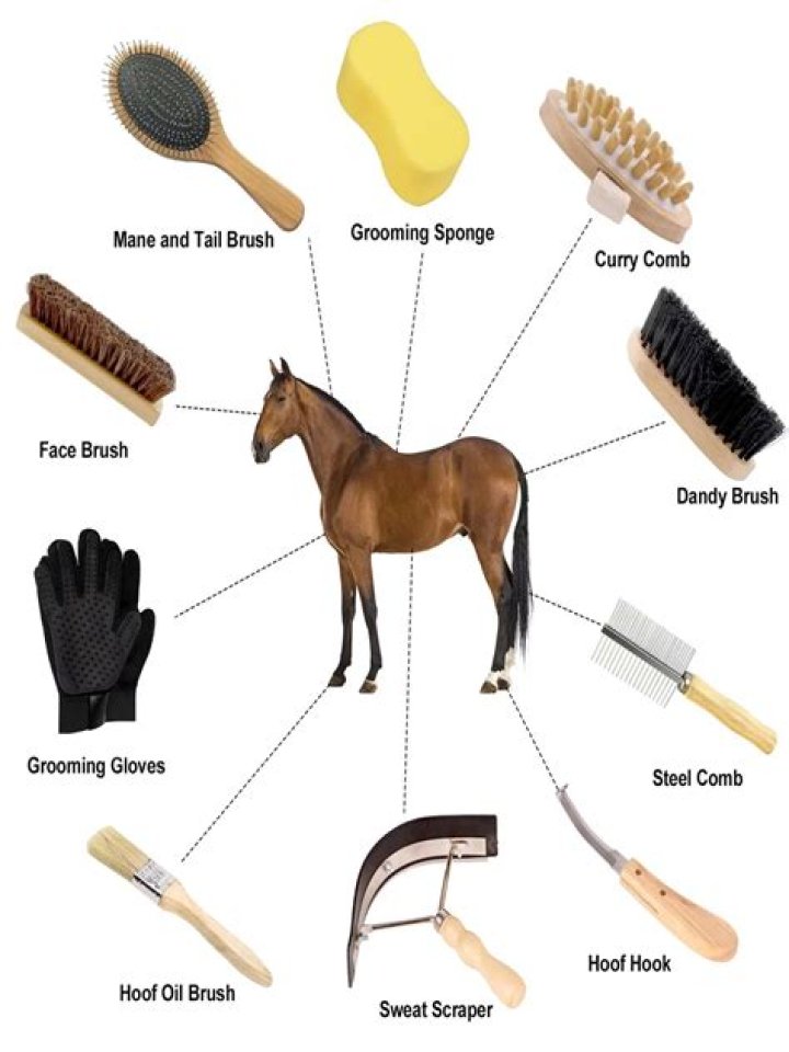 How much b12 do horses need?