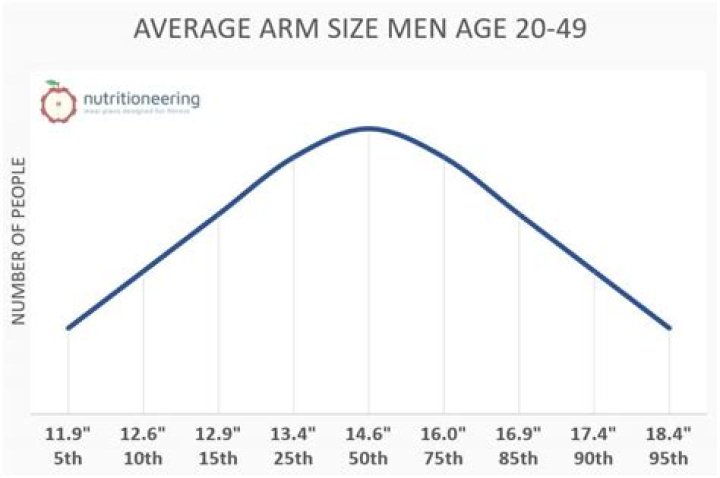 How much can the average man curl with one arm?