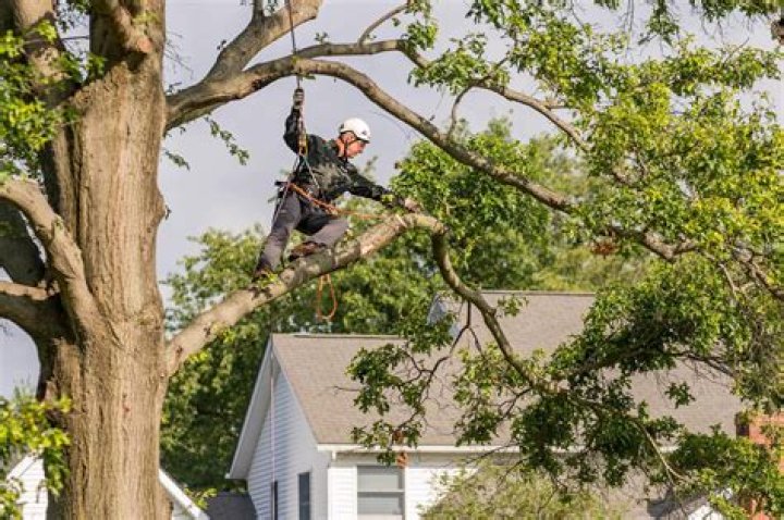 How much do Davey Tree employees make?