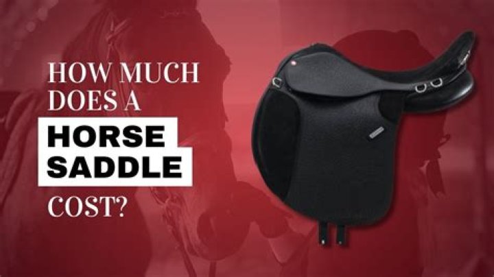 How much do English saddles cost?