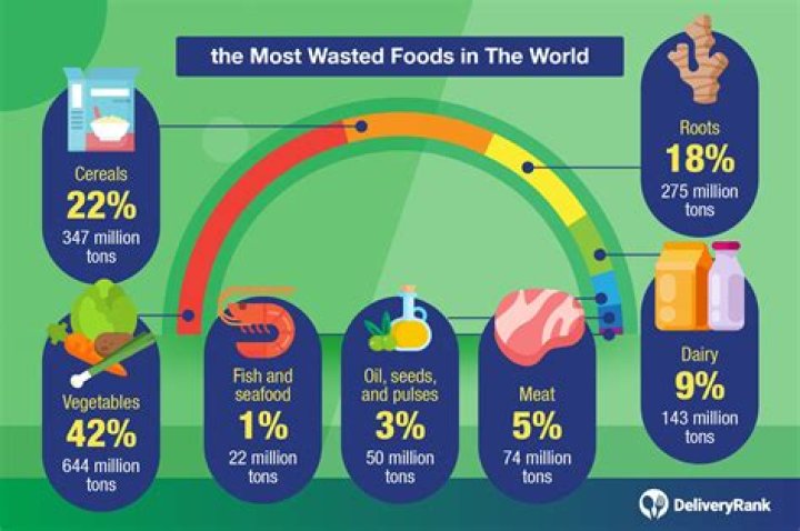 How much food is wasted in the US every day?