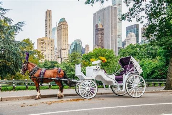 How much is a horse carriage ride in Central Park?