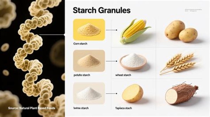 How much of a potato is starch?