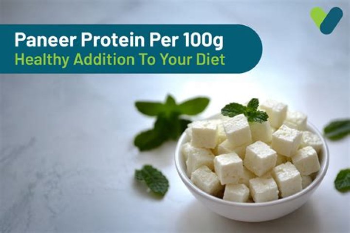 How much protein does 100 gm paneer have?