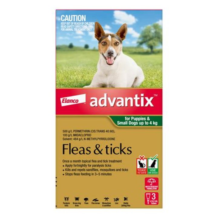 How often do you give Advantix to dogs?
