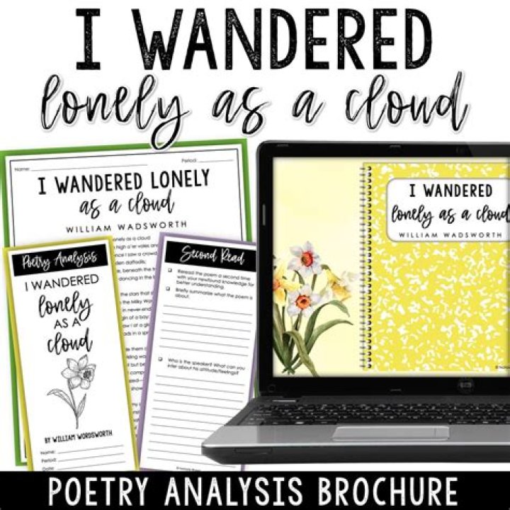 How would a lonely cloud wander?