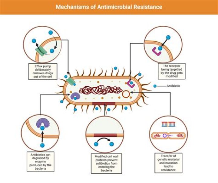 Is acrylic an antimicrobial?