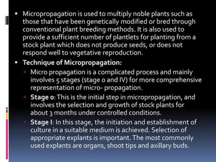 Is Agar used in micropropagation?