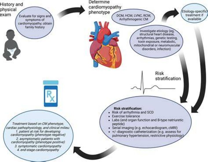 Is alcoholic cardiomyopathy curable?