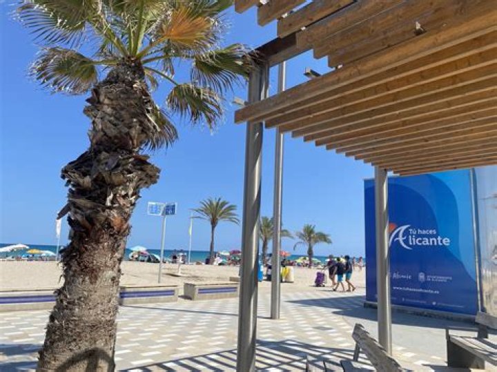 Is Alicante warm in February?