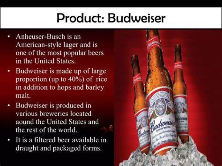 Is Budweiser made with rice or barley?