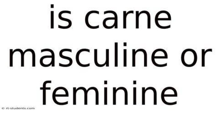 Is Carne masculine or feminine?