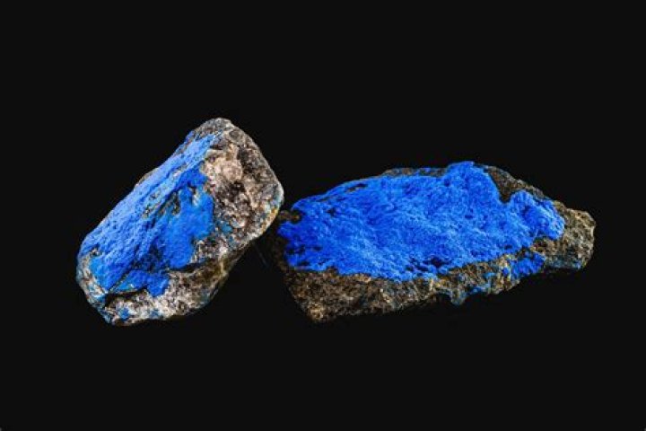 Is cobalt found in the human body?