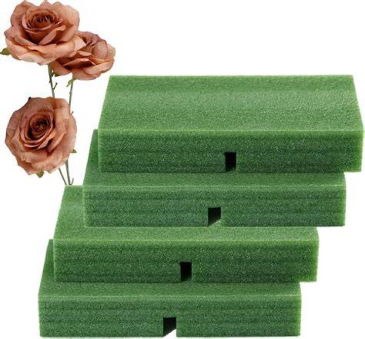 Is dry foam the same as Oasis?