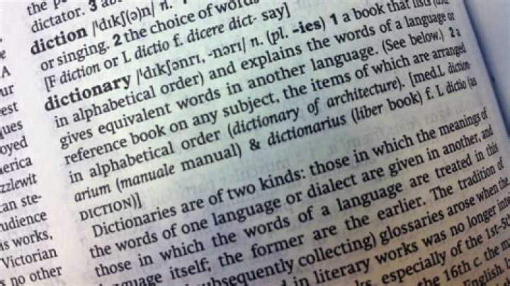 Is Eejit in the Oxford dictionary?