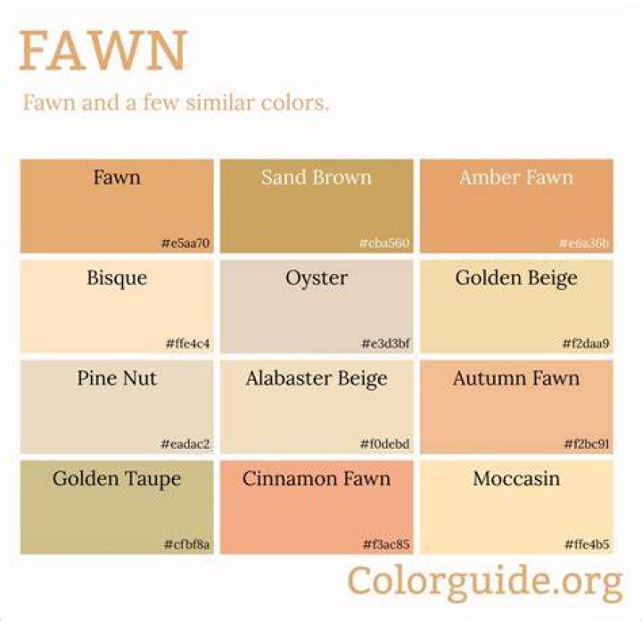 Is fawn the same as beige?