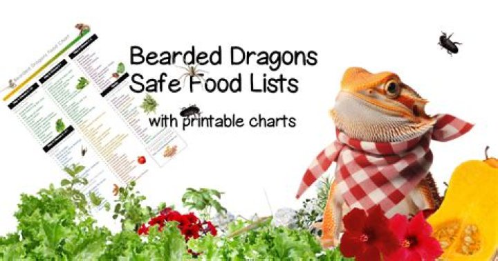 Is freeze dried food good for bearded dragons?