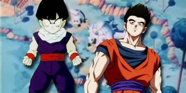 Is Gohan yamcha son?