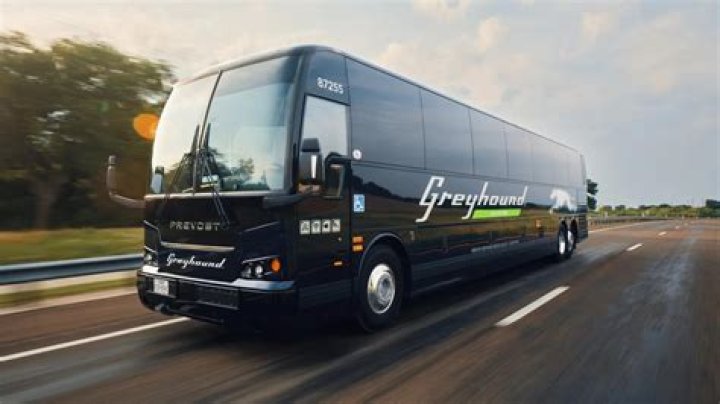 Is Greyhound considered public transportation?