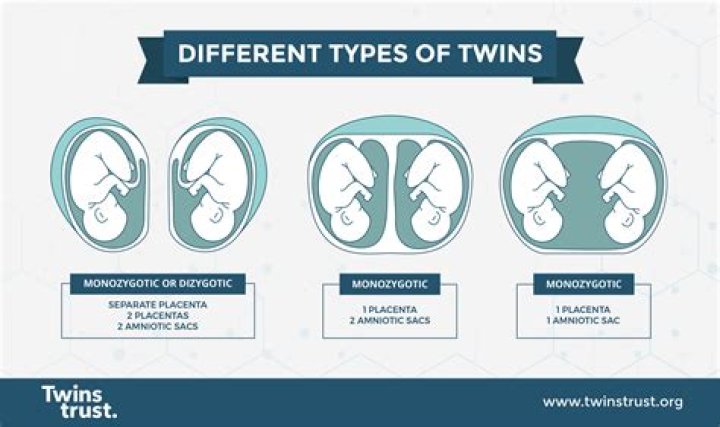 Is identical twins DNA the same?