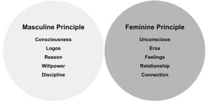 Is Ingenieur masculine or feminine?