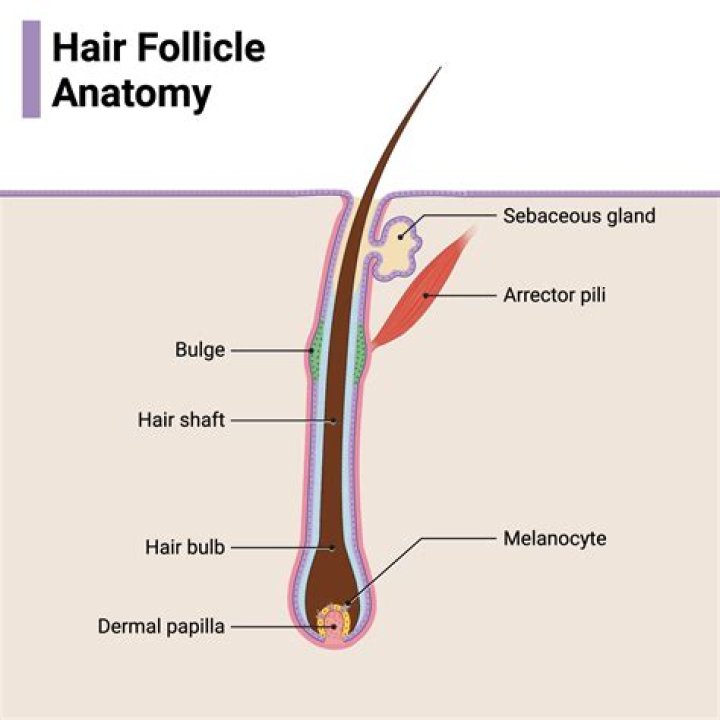 Is it bad to pull out hair follicles?