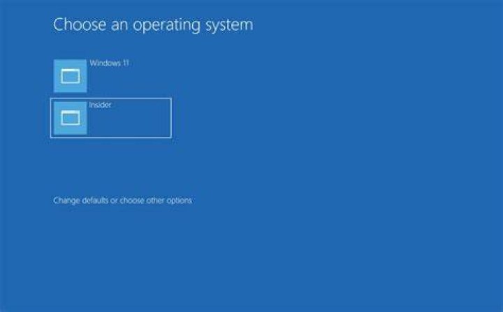 Is it better to dual boot or VMWare?