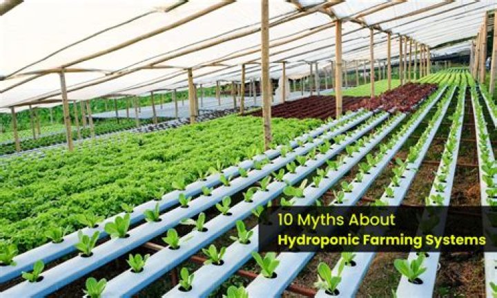 Is it safe to use PVC for hydroponics?