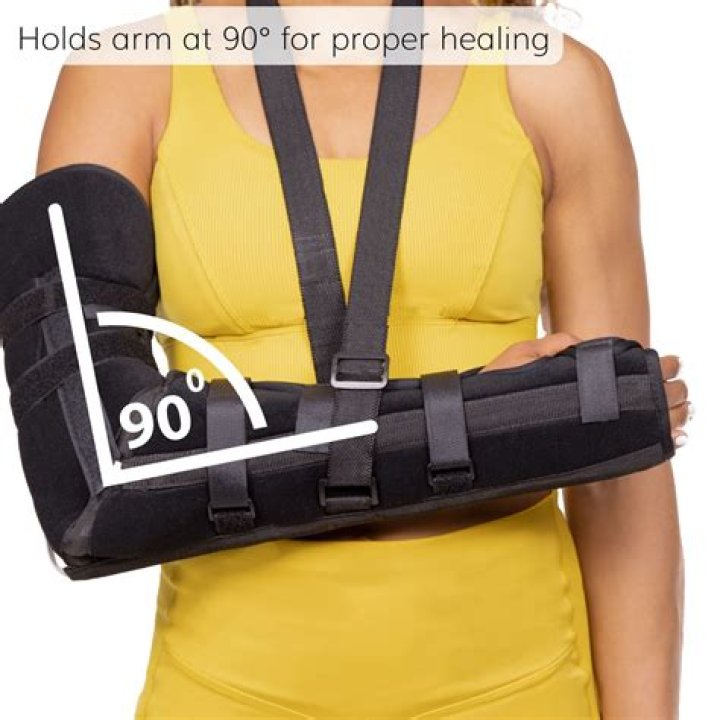Is located in the arm and flexes the elbow?