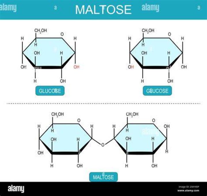 Is maltose sweeter than glucose?