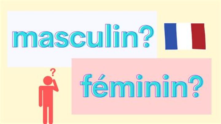 Is medicine masculine or feminine in French?