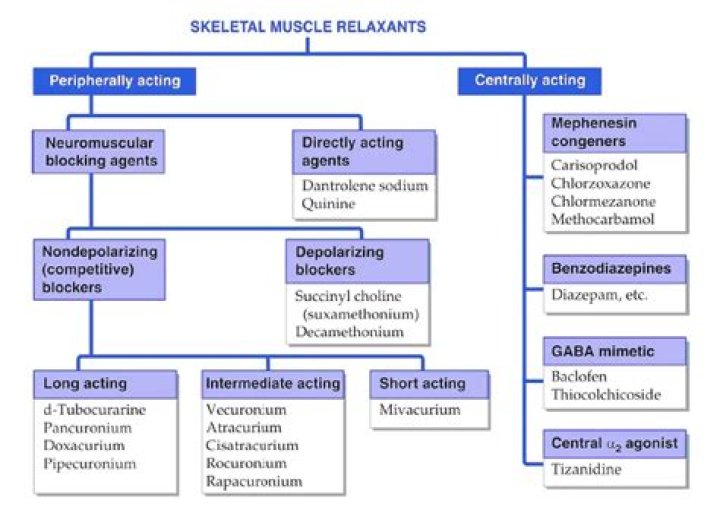 Is Myoflex a muscle relaxant?