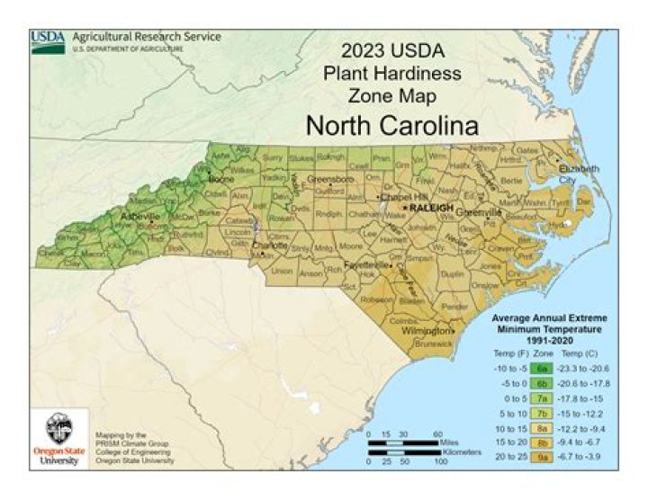 Is North Carolina doing road test?