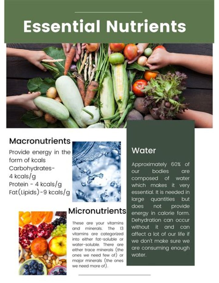Is nutrients a good journal?