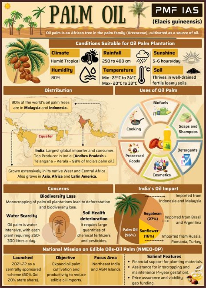 Is Palm Aire safe?