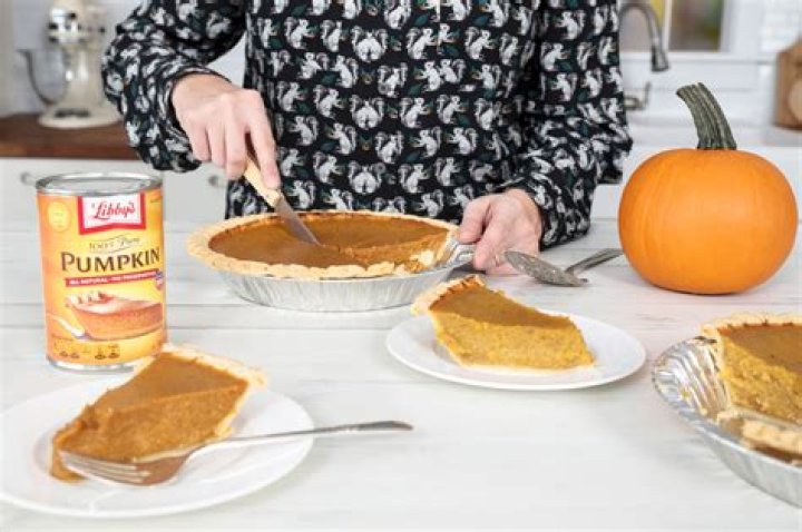 Is pumpkin pie mix and pumpkin puree the same thing?