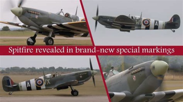 Is Spitfire a good brand?