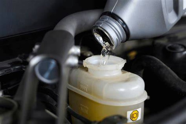 Is Steam a fluid?