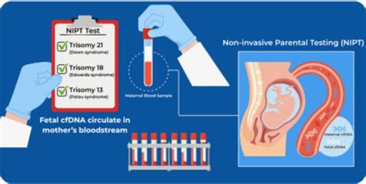 Is the NIPT test covered by insurance?