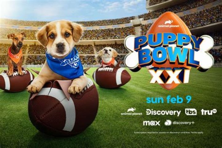 Is the Puppy Bowl on TV?