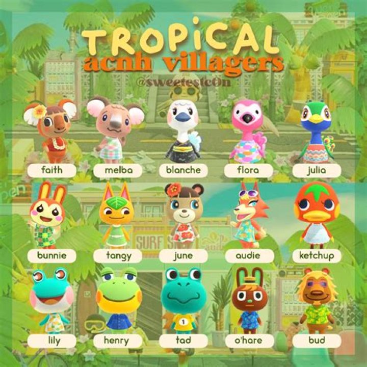Is there a koala in Animal Crossing?
