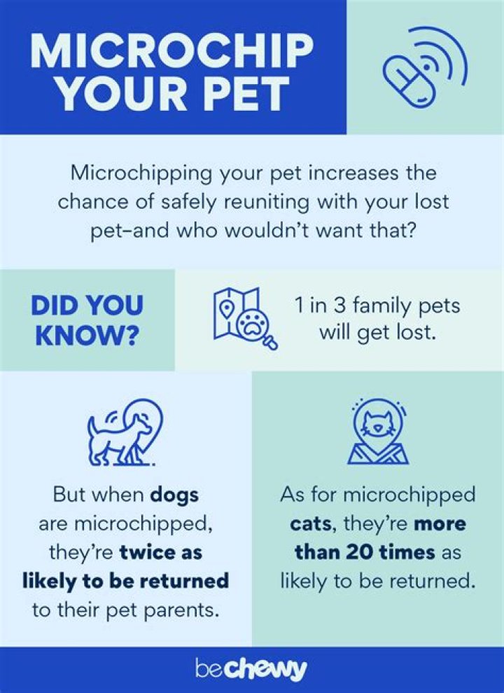 Is there a monthly fee for microchipping a dog?