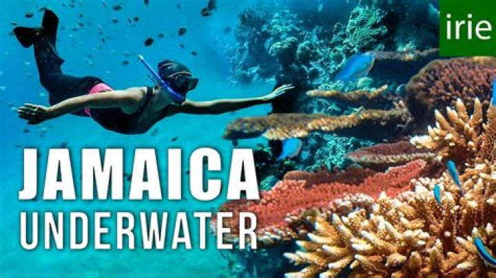 Is there good snorkeling in Negril Jamaica?