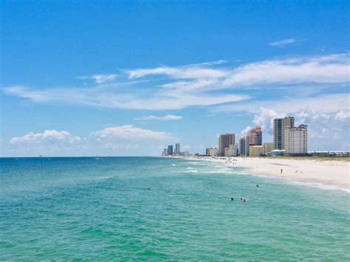 Is there toxic algae in Gulf Shores Alabama?