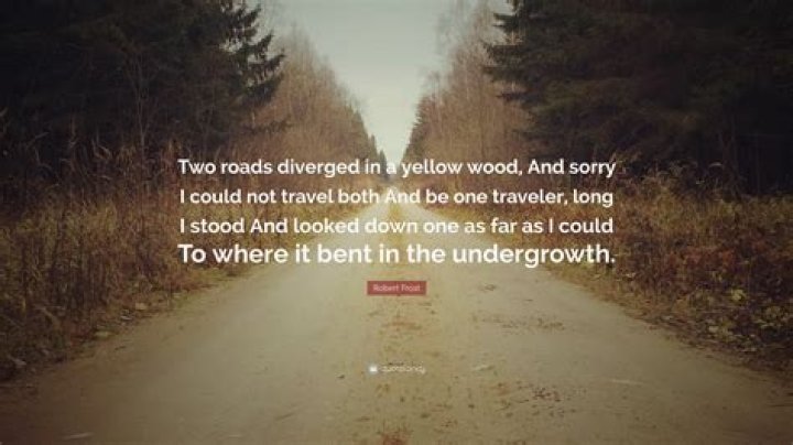 Is Two roads diverged in a yellow wood a metaphor?