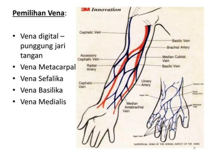 Lengan kanan sakit gejala apa?