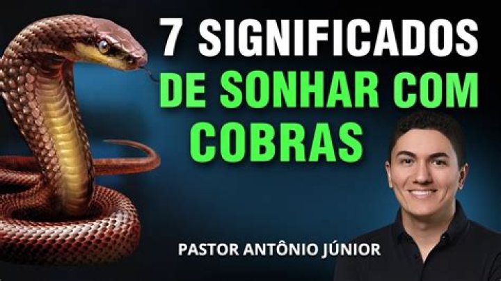 O que significa sonhar com ratos no mundo espiritual?