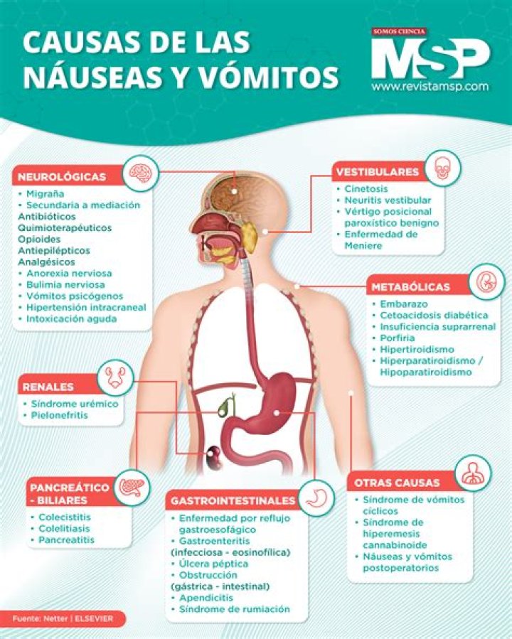¿Por qué se vomita al estar ebrio?