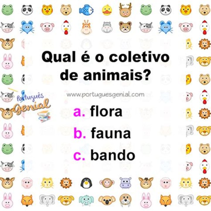 Qual é o coletivo de animais?