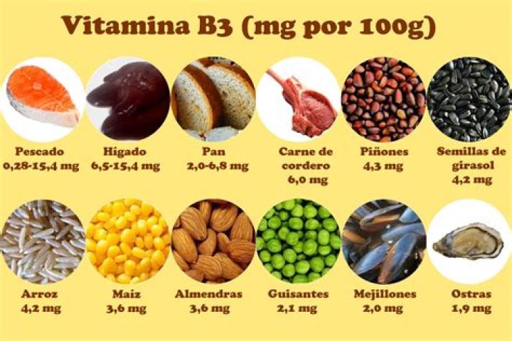 ¿Qué alimentos contienen nicotinamida?